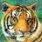 TigersEyeDowsing
