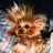 Yorkie Lover