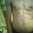 justin