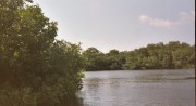 Bonaire