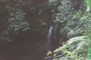 Dominica