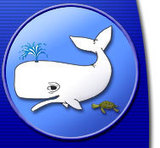 user portrait