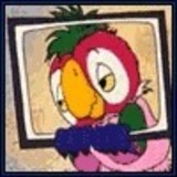 user portrait