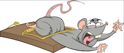 Mouse Trap