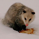GlenninVirginia