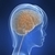 Burris Institute: Behavioral Health
