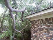 New Storm Damage