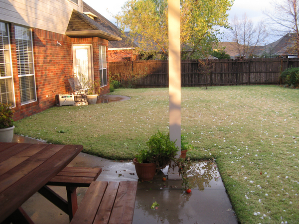 The back yard, about 20 minutes after the storm hit