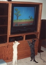 Kitties