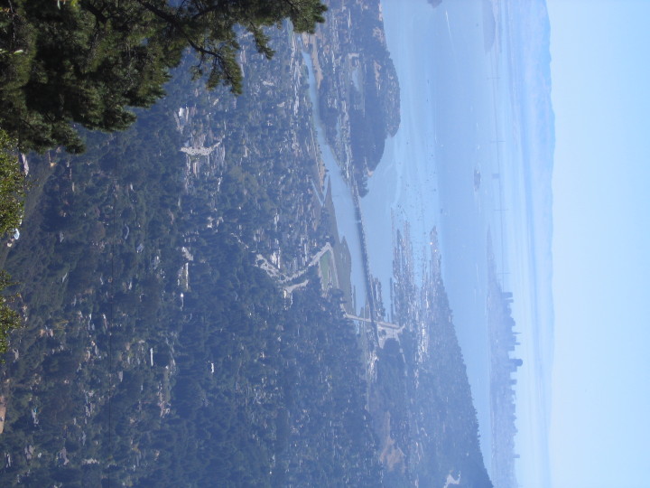 Top of Mt. Tam (San Francisco, CA)