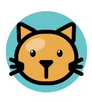 user portrait