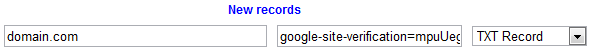 Google Site Verification Example