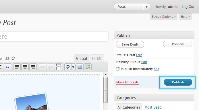 Publish Post
